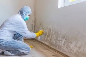 Best Real Estate Mold Inspection  in Bluffton, IN